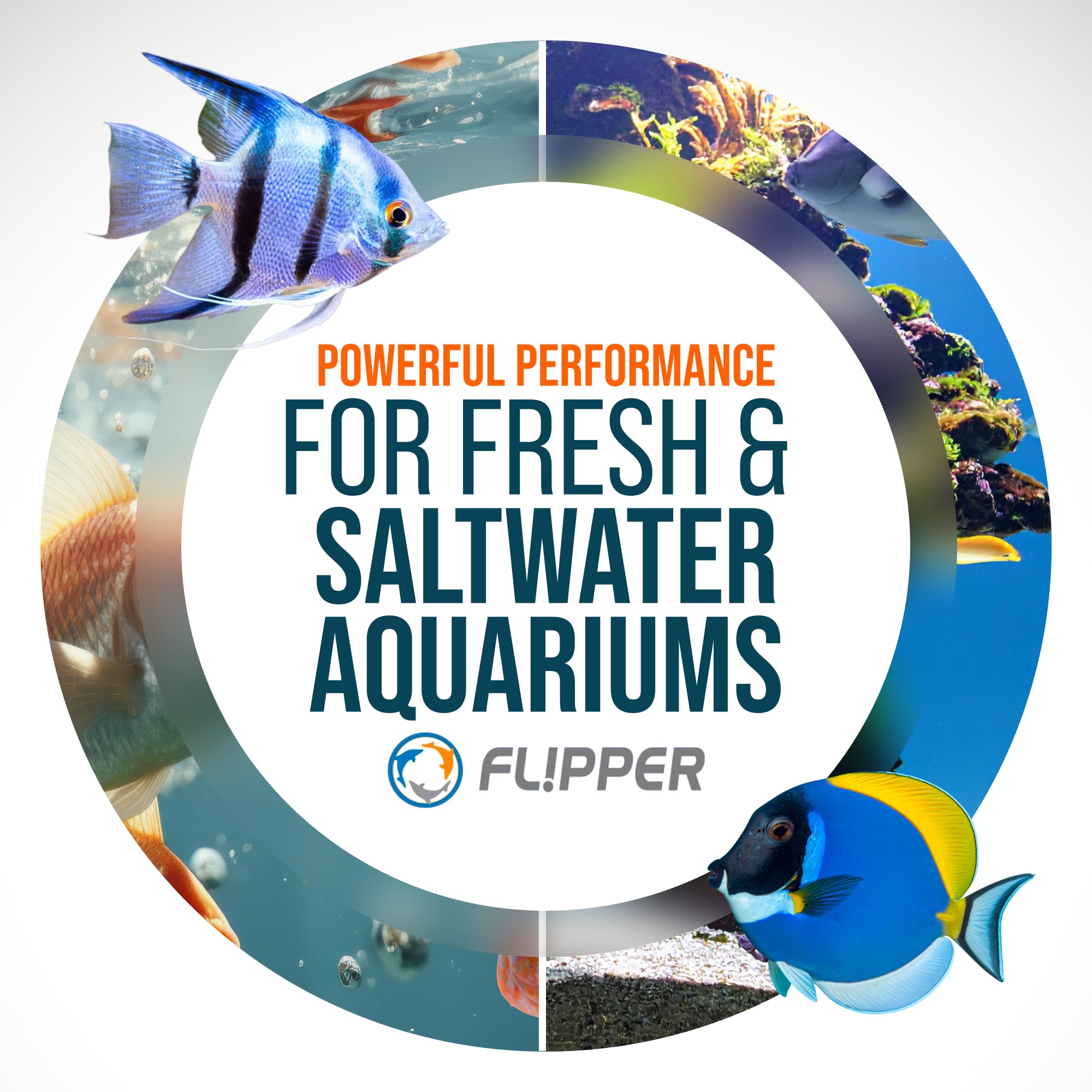 Amazon.co.jp: FL!PPER Flipper Edge Max Clownfish 限定版
